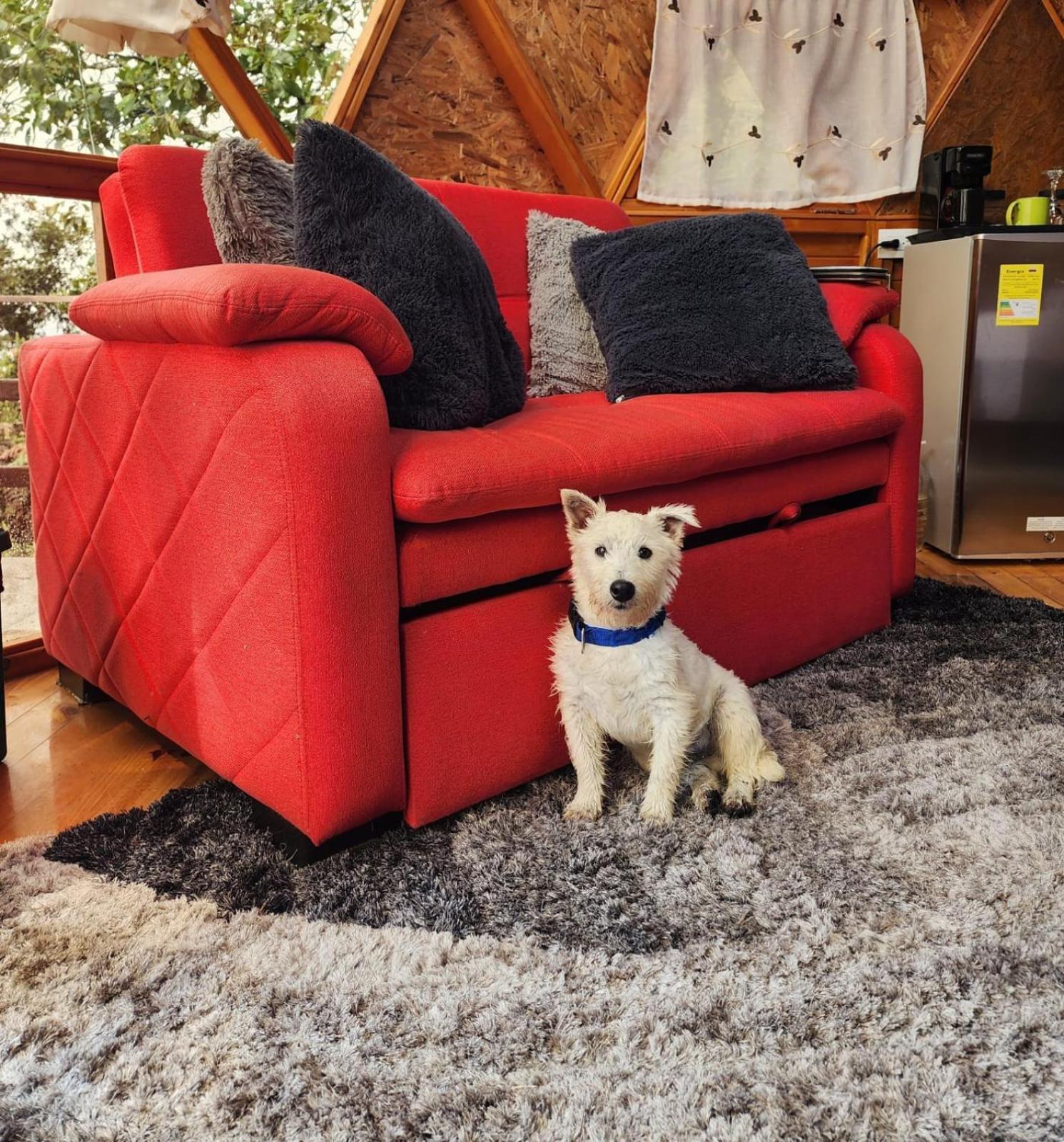 Glamping Sede Campestre Mirador De Pueblo Viejo Ξενοδοχείο Guatavita Εξωτερικό φωτογραφία